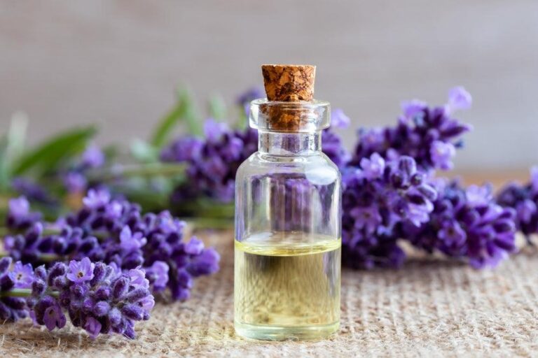 Lavender Oil for Mind and Body